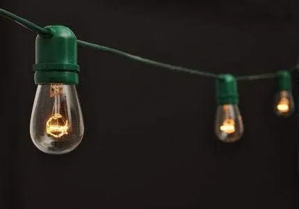 24 Socket Heavy-Duty Outdoor String Light Kit with S14 Bulbs, 56 feet, Green