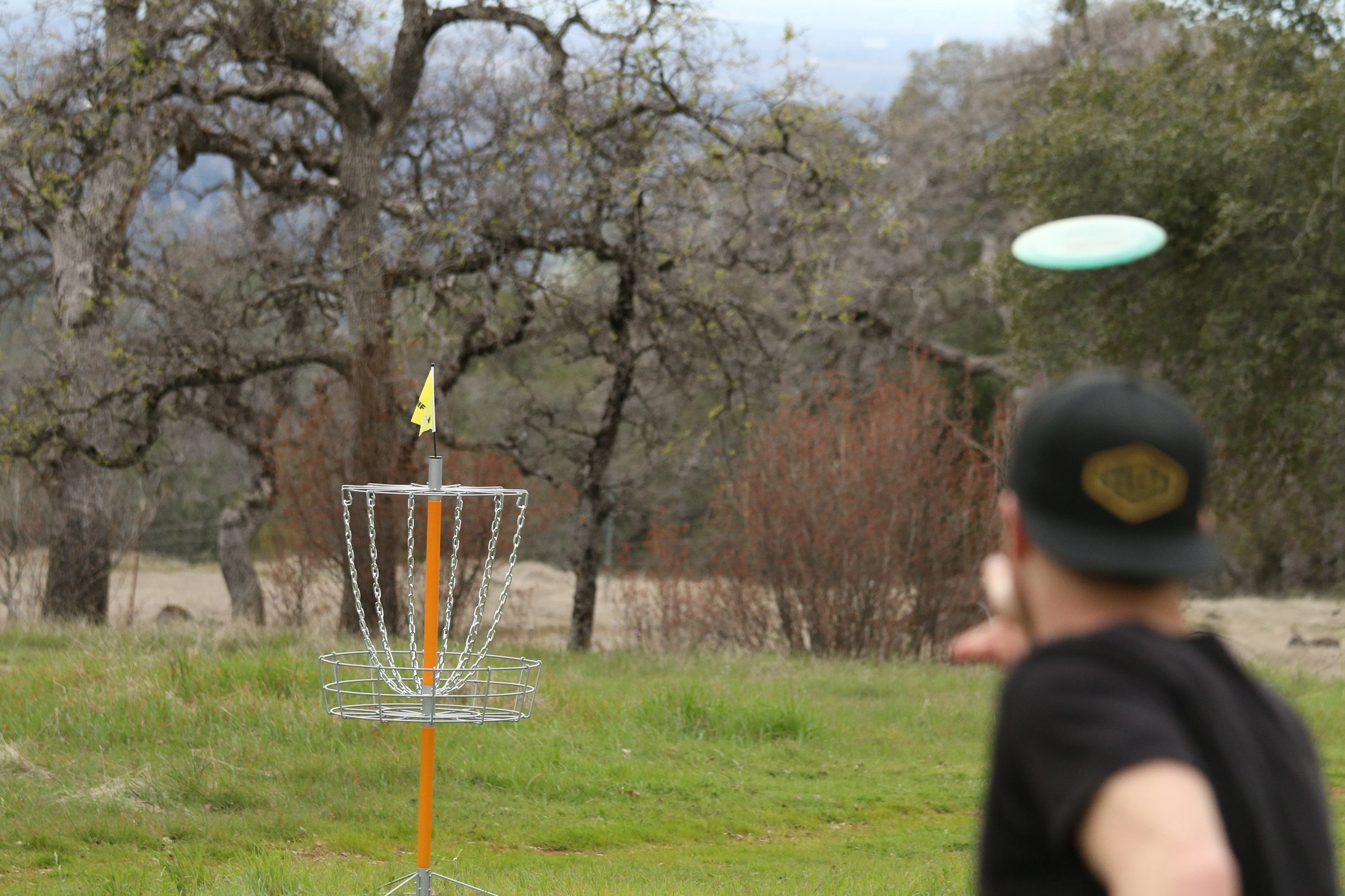 Driftsun Sports Portable Disk Golf Basket - Lightweight Steel Practice Target