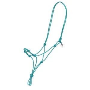 Fort Worth Halter Clinician/Training