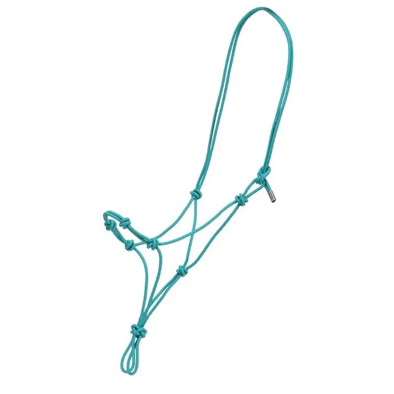 Fort Worth Halter Clinician/Training