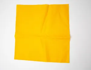 Lacrosse Penalty Flag