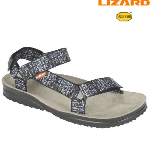 Lizard - Hike