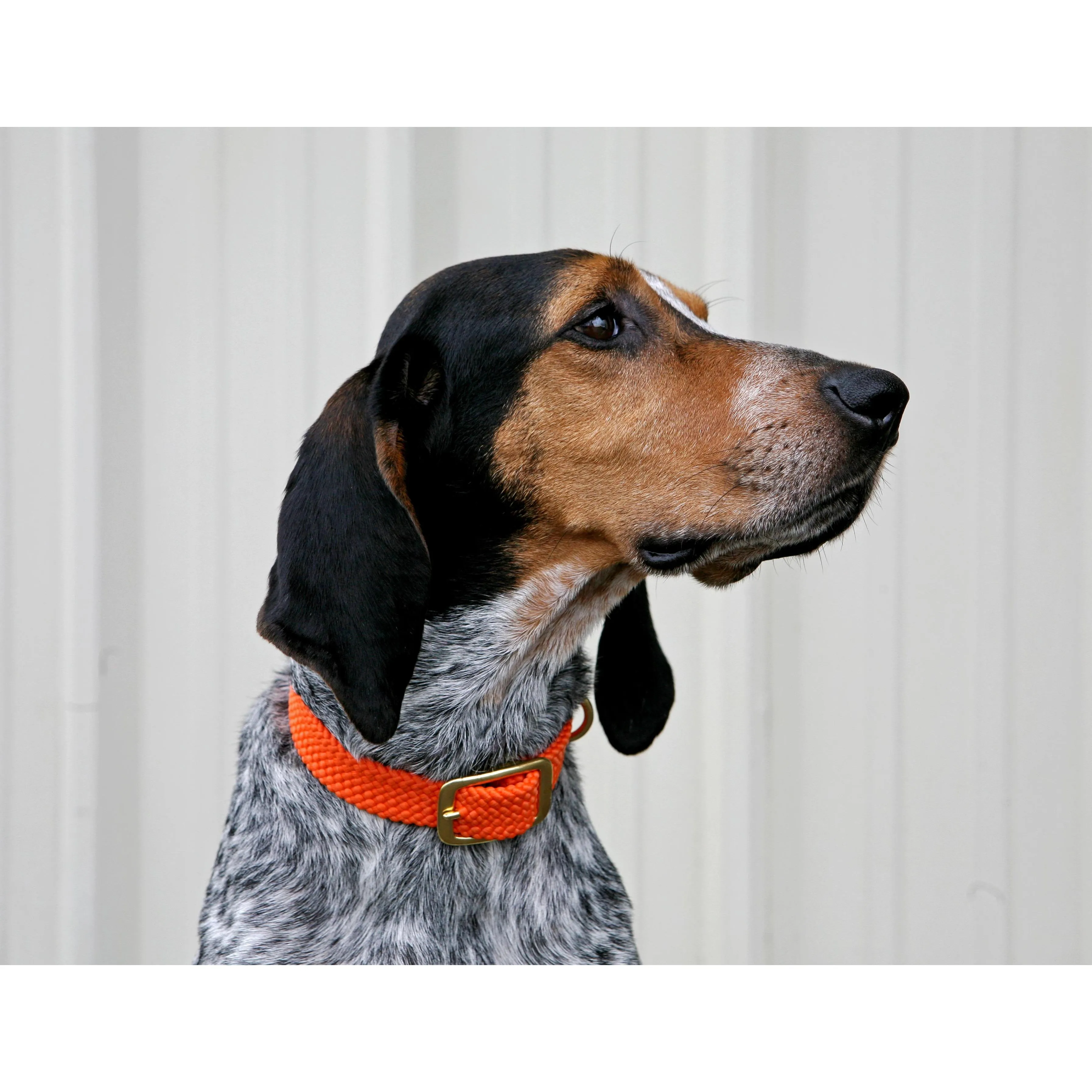Mendota Double Braid Collar